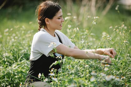 La primavera es la mejor estación del año para seleccionar flores por la gran variedad que ofrece