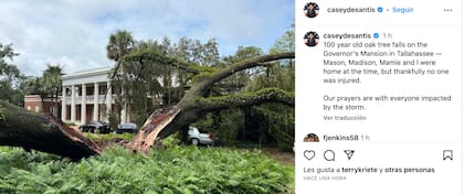 La primera dama de Florida, Casey DeSantis, reportó la caída de un árbol