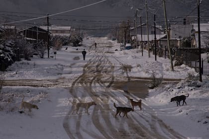 La primera nevada del año en Bariloche en plena cuarentena