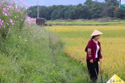 La primera parte de sus videos siempre es en la naturaleza