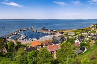 Son argentinos y vuelven locos a los suecos