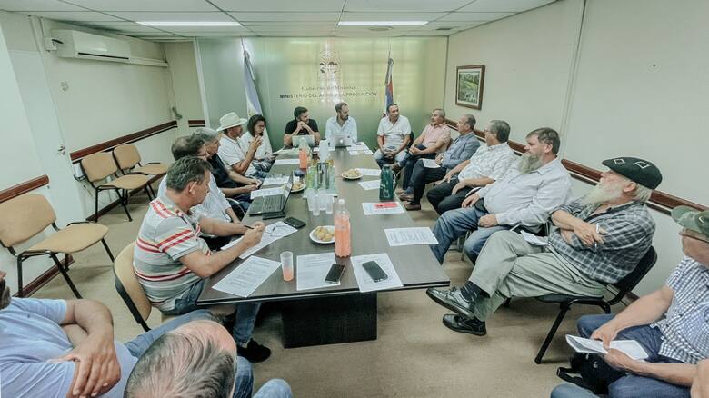 Crisis yerbatera: Piden reducir el contenido de palo para aumentar la demanda de hoja verde
