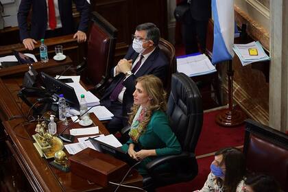 La primera sesión virtual en la historia del Senado