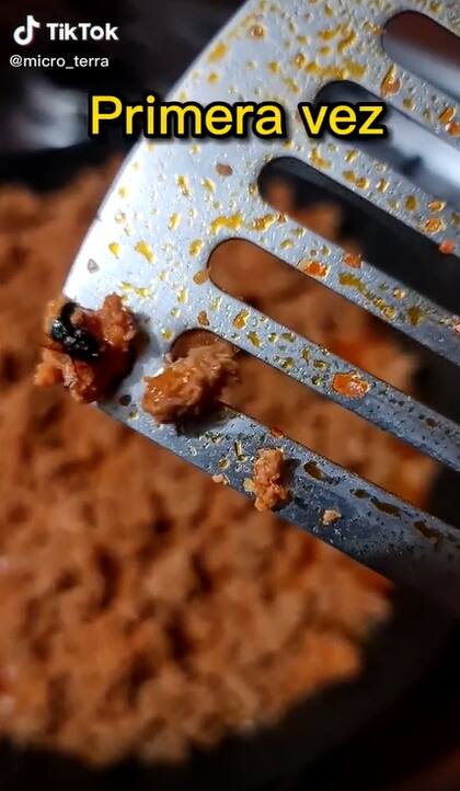 La primera vez que intentó comer chorizo se encontró con una mosca (Foto: Captura de video)