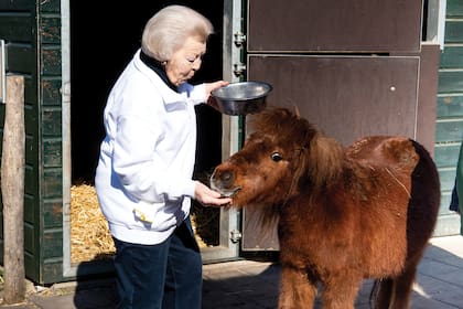 La princesa Beatriz les dio de comer a los caballos en la granja infantil De Schaapskooi, en Bilthoven. 