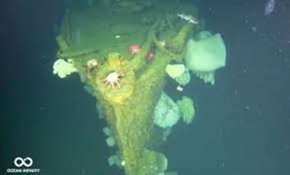 La proa del USS Stewart, cubierto por flora y fauna marina