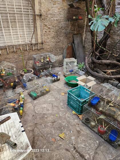 La proclamación del animal como sujeto de derecho lo coloca en el lugar de ser sintiente y establece el respeto hacia su vida