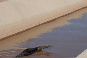 Un dictamen en la causa por el Canal de La Patria podría convertirse en un hito legal