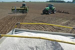 La producción apunta a usar más fertilizantes