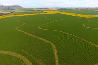 El metaverso y el agro: de qué se trata
