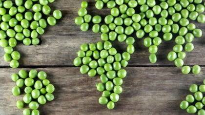 La producción de alimentos es responsable del 30% de las emisiones de carbono del mundo