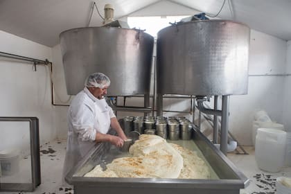 La producción de quesos es incesante en Las Carreras.