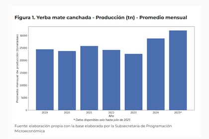 La producción en toneladas de la yerba mate canchada