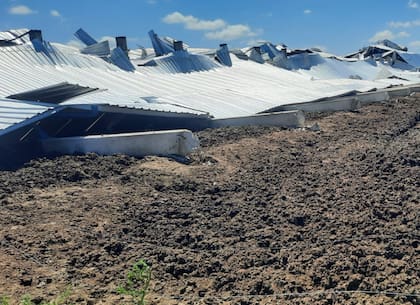La producción lechera sufrió una gran baja: de casi 20.000 a 13.000 litros diarios