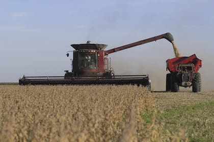 “La productividad y la capacidad de innovar son lo que sigue sosteniendo al productor argentino en un entorno adverso. Pero hay señales preocupantes, sobre todo para quienes alquilan tierras y tienen márgenes más ajustados”, advirtió Steiger