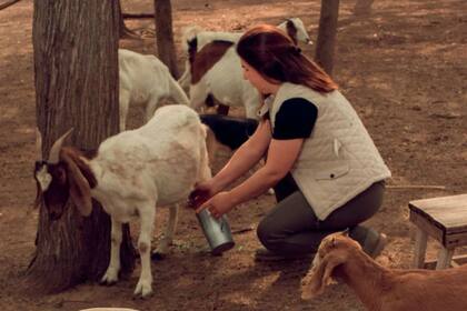 La productora chaqueña ordeña para realizar quesos de cabras