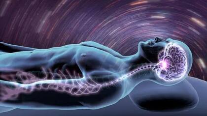 La profesora asociada de neurología y fisiología molecular e integrativa de la Universidad de Michigan se dedicó a estudiar qué pasa en el cerebro humano cuando estamos muriendo