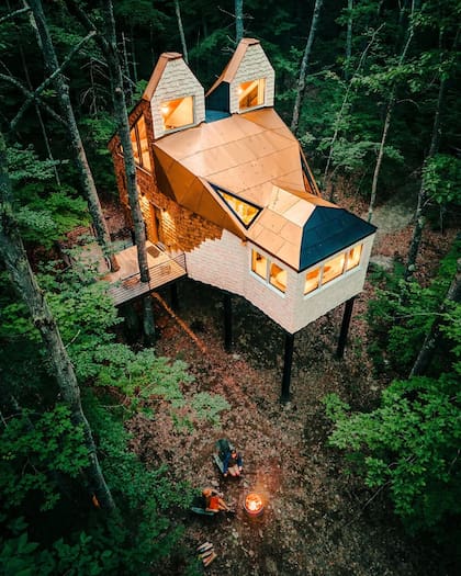 La propiedad en el árbol tiene forma de cabeza de zorro