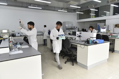 La propuesta busca formar profesionales capaces de comprender, anticipar y transformar los comportamientos humanos a través de un enfoque interdisciplinario