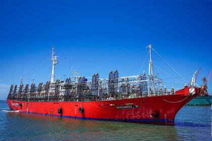 La propuesta de la ley ómnibus deroga el artículo 40