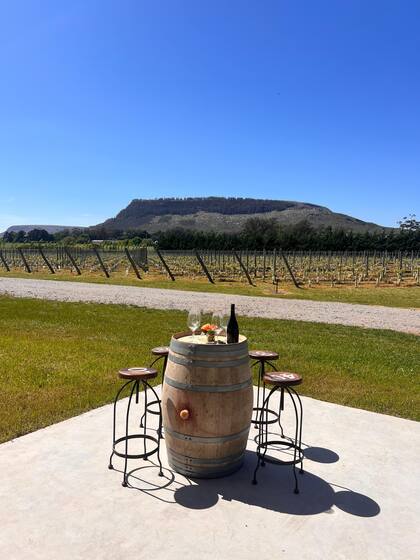 La propuesta enoturística en Balcarce está en constante crecimiento