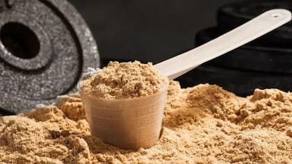 La proteína de soja puede ser tan eficaz como la que proviene de animales