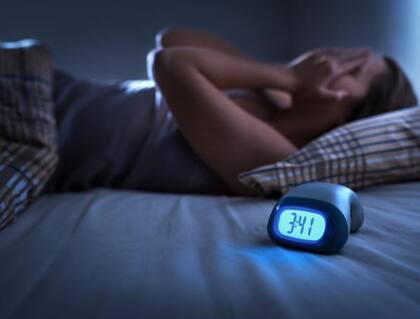 La proteína Parp1 induce el sueño y permite reparar el ADN