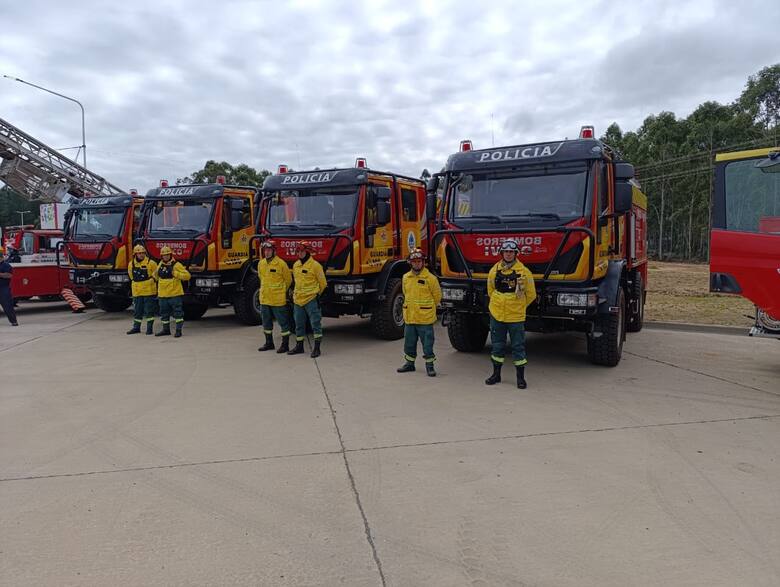 Corrientes invierte US$ 100 millones y se posiciona como potencia forestoindustrial del Cono Sur