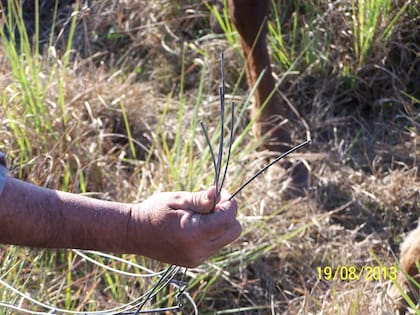 La prueba indubitable del robo fue que cuando encontraron los alambres cortados en cuatro lugares distintos, todos lindantes con el establecimiento de Estoup, no así con los otros campos vecinos