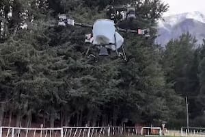 Polémica por la siembra de pasto con drone en zonas afectadas por incendios en la Patagonia