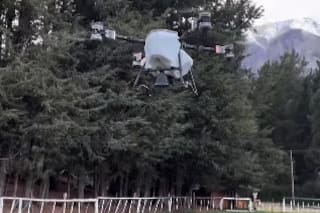 Polémica por la siembra de pasto con drones en zonas afectadas por incendios en la Patagonia
