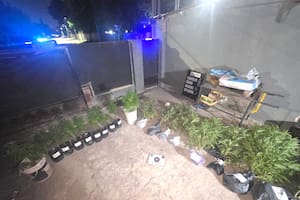 Cayó un policía que tenía en su casa 18 plantas de cannabis y más de dos kilos cosechado