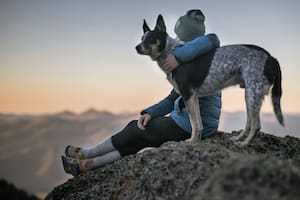 La psicología advierte sobre hablarle a las mascotas como si fueran humanos
