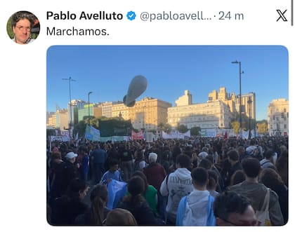 La publicación de Avelluto