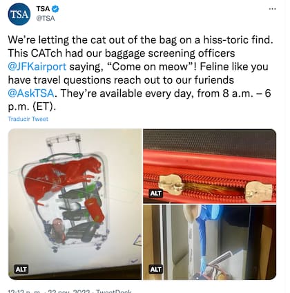 La publicación de la TSA sobre el gato en una valija que se viralizó