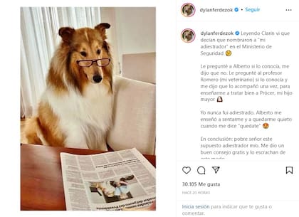 La publicación en la cuenta de Instagram de Dylan, el perro de Alberto Fernández (Foto: Instagram)
