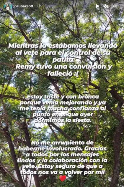La publicación que entristeció a los seguidores de Paula. Fuente: Instagram