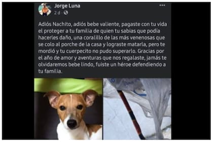 La publicación que Jorge Luna realizó en su cuenta de Facebook