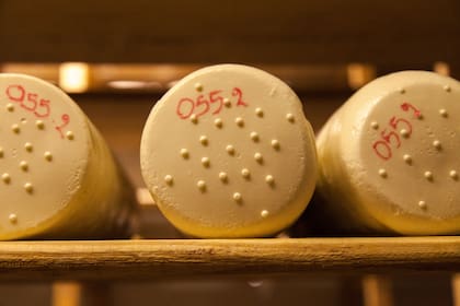 La quesería Narbona tiene su propio tambo.