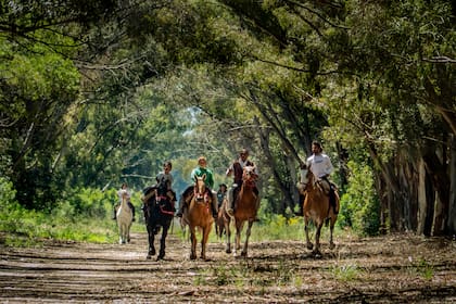 La quietud pueblerina permite desplazarse sin auto