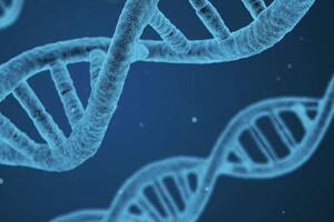 Los estudios del ARN están cada vez más cerca de entender el origen de la vida
