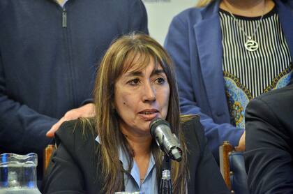 La radical Roxana Reyes es diputada nacional por Santa Cruz