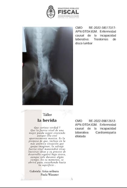 La radiografía de un perro y un poema, los documentos adjuntados a certificados médicos para acreditar invalidez laboral en una denuncia tramitada por la Fiscalía Nacional en lo Criminal y Correccional Federal Nº 9
