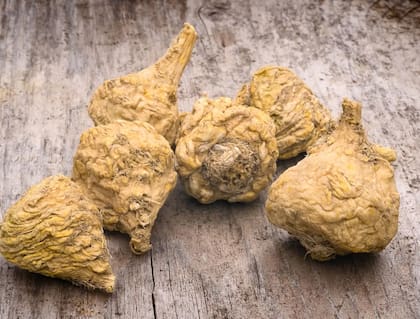 La raíz de maca se consume como afrodisíaco y estimulante, capaz de prevenir el estrés