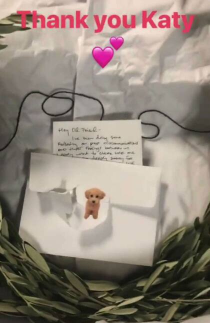 La rama de olivo que, junto a una carta, Perry le envió a Swift