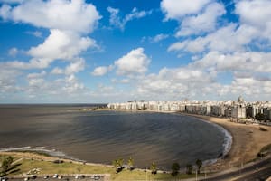 Encontraron el torso de una persona en la rambla de Montevideo