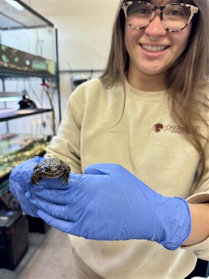 La rana de patas amarillas desempeña un papel crucial en la red alimenticia ecológica