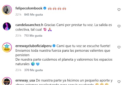 La reacción de Felipe Colombo y otros usuarios ante el posteo de Camila Bordonaba