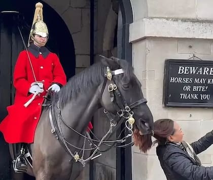 La reacción del caballo de la Guardia Real que se hizo viral