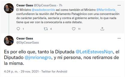 La reacción del diputado Gass